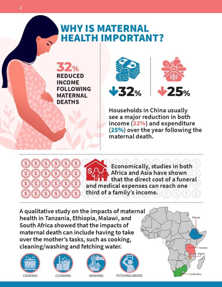 The State of Maternal Health and Birthing Patient Safety