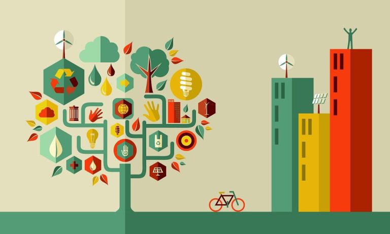 Sustainability Shapes Today’s Business Strategies