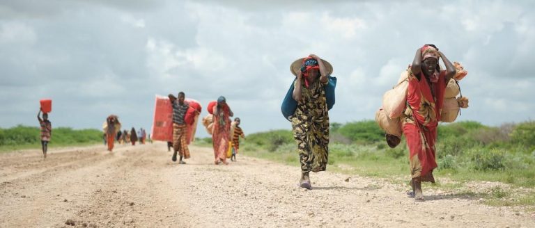 How Climate Change Is Driving Global Migration