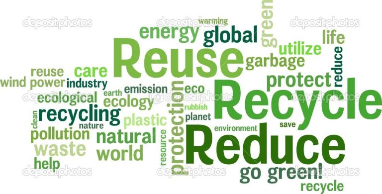 How Daily Choices Shape Our Environmental Impact