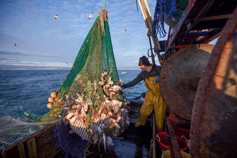 Overfishing Threatens Balance of Ocean Ecosystems