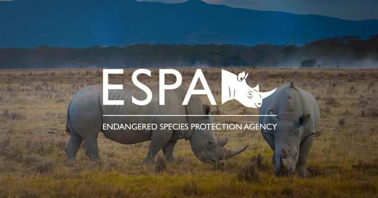 Climate Threats Intensify Push to Protect Endangered Species