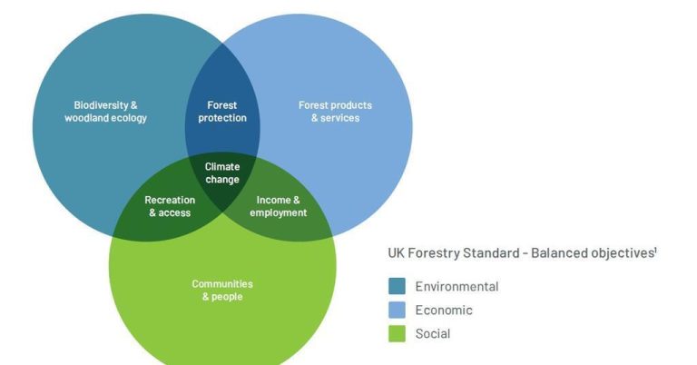 Sustainable Forest Management Seen as Crucial Sustainable Forest Management Seen as Crucial