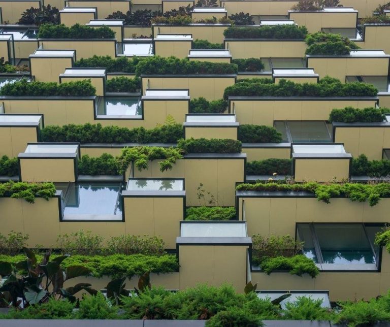 How Green Buildings Are Cutting Energy Use