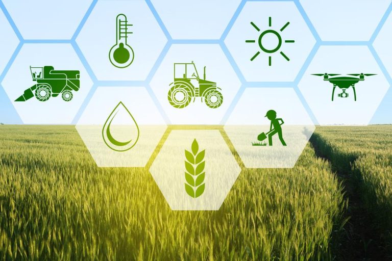 Tech Innovations Transform the Future of Agriculture Tech Innovations Transform the Future of Agriculture