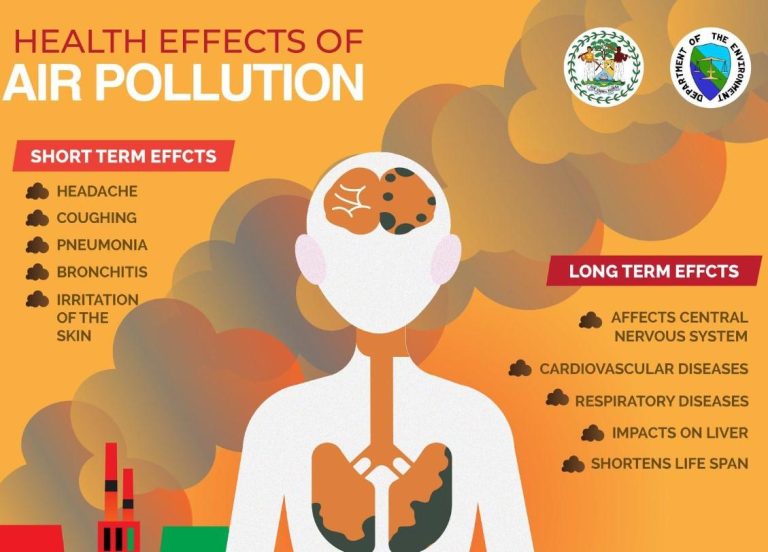 Air Pollution Tied to Rising Public Health Risks